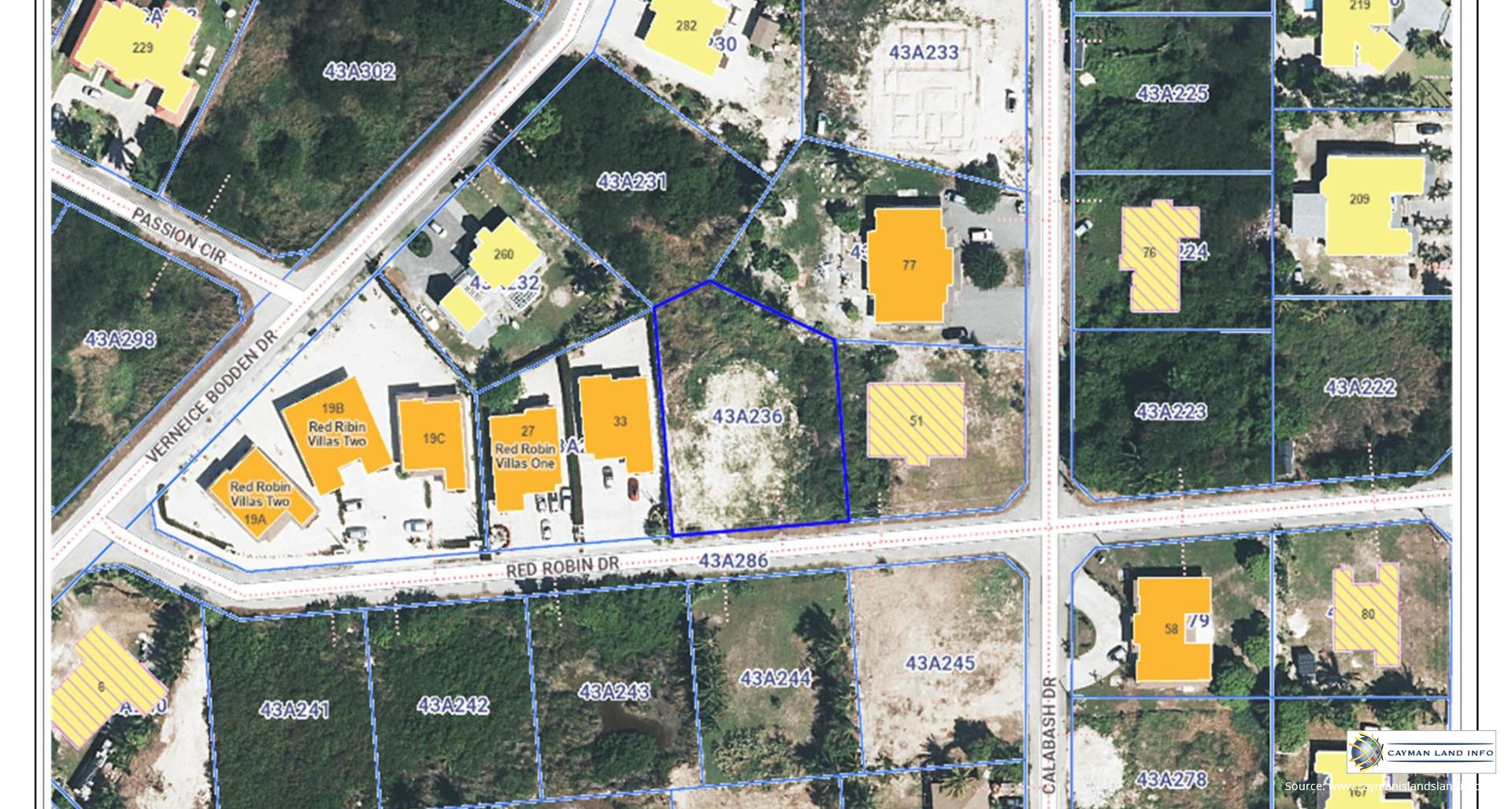 White Orchid – New Savannah Community – L9